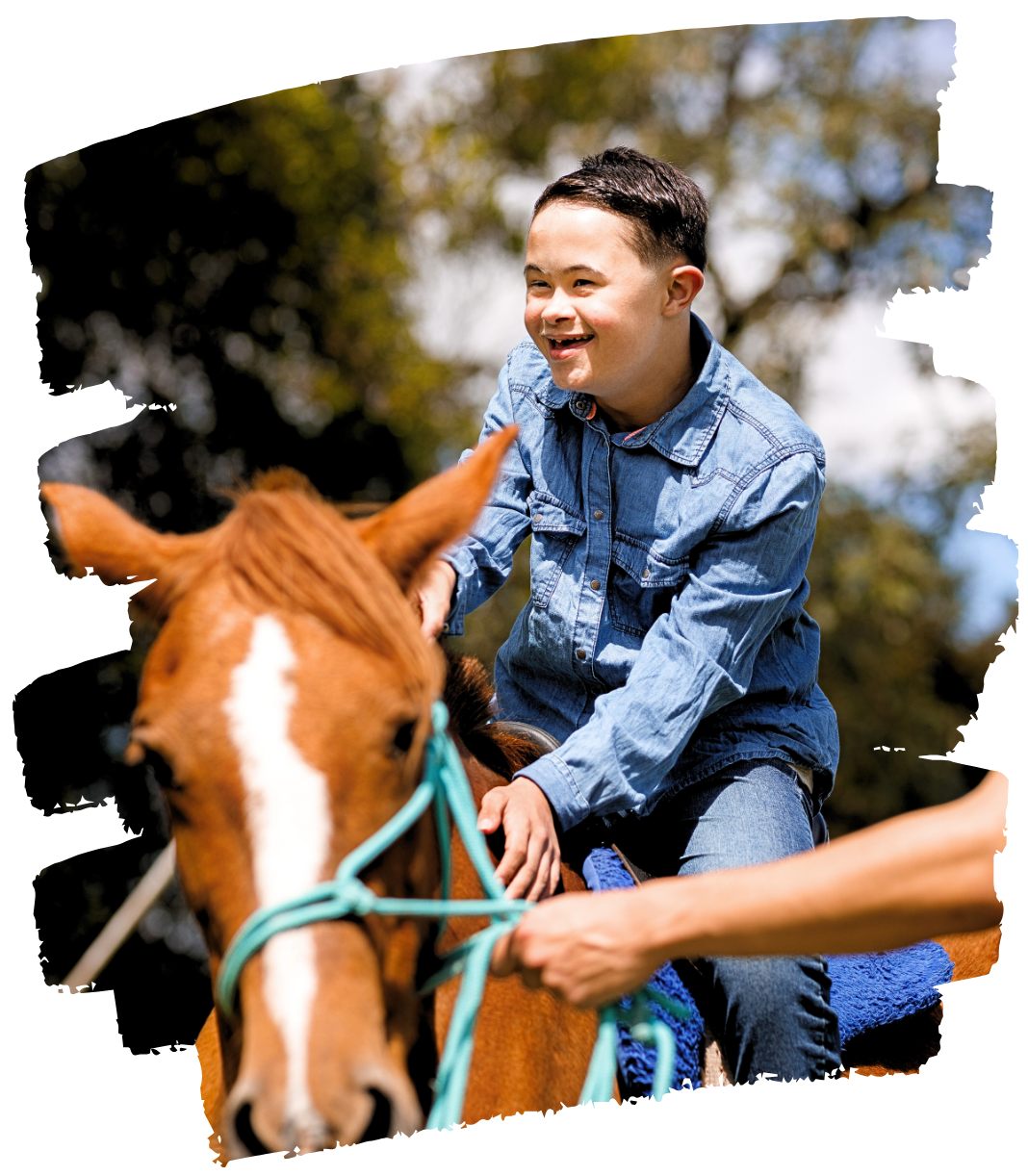 Imagem Banner Equo Janjana